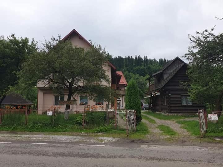 Villa Ileana Чахлеу Екстер'єр фото
