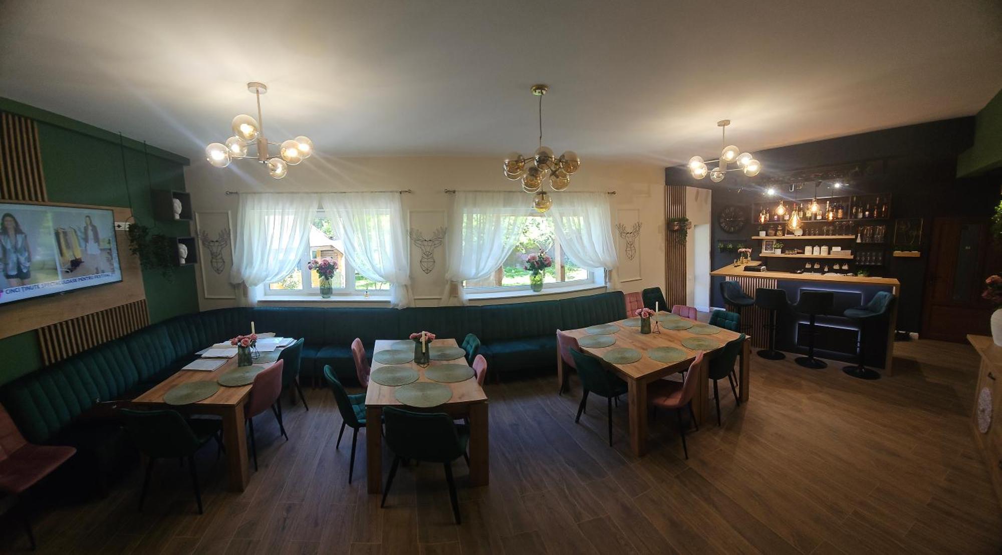 Villa Ileana Чахлеу Екстер'єр фото