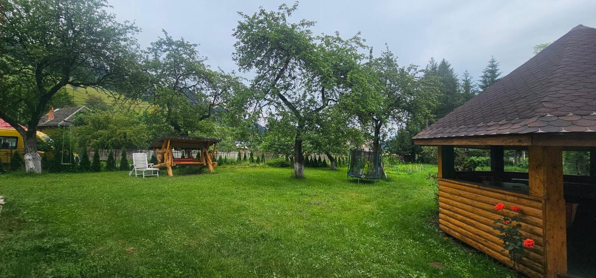 Villa Ileana Чахлеу Екстер'єр фото