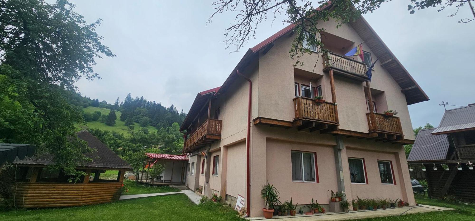 Villa Ileana Чахлеу Екстер'єр фото