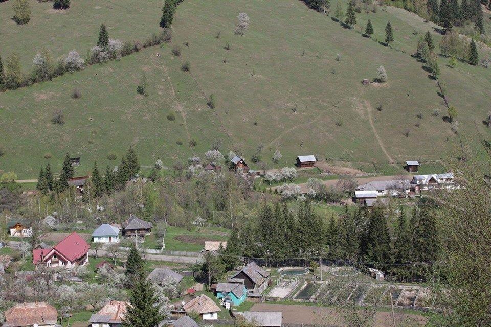 Villa Ileana Чахлеу Екстер'єр фото