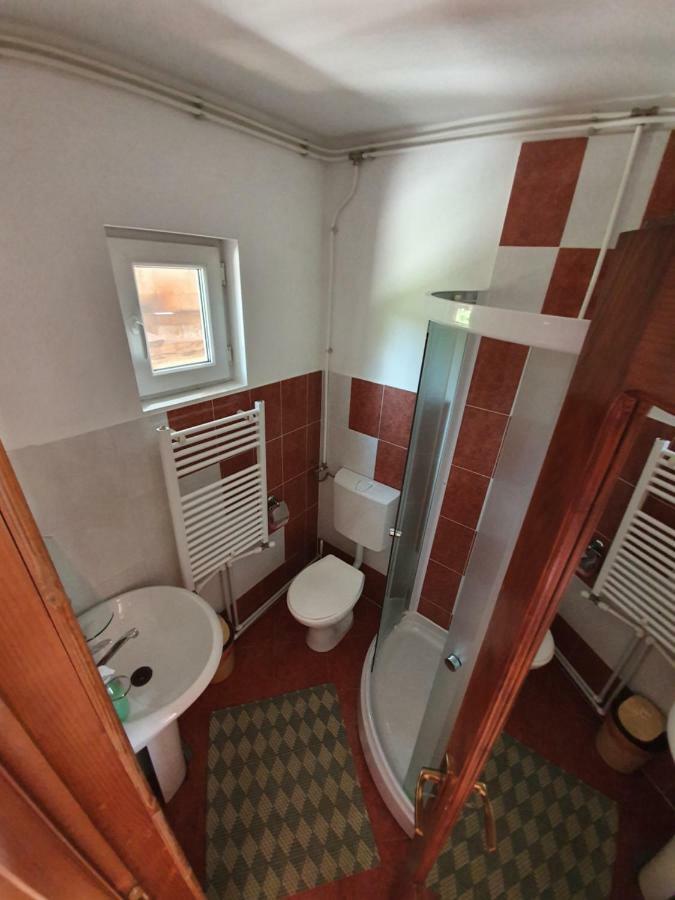 Villa Ileana Чахлеу Екстер'єр фото