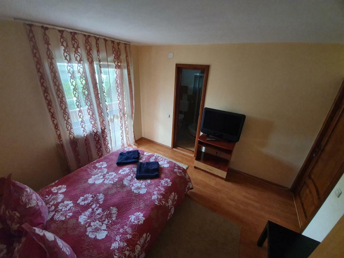 Villa Ileana Чахлеу Екстер'єр фото