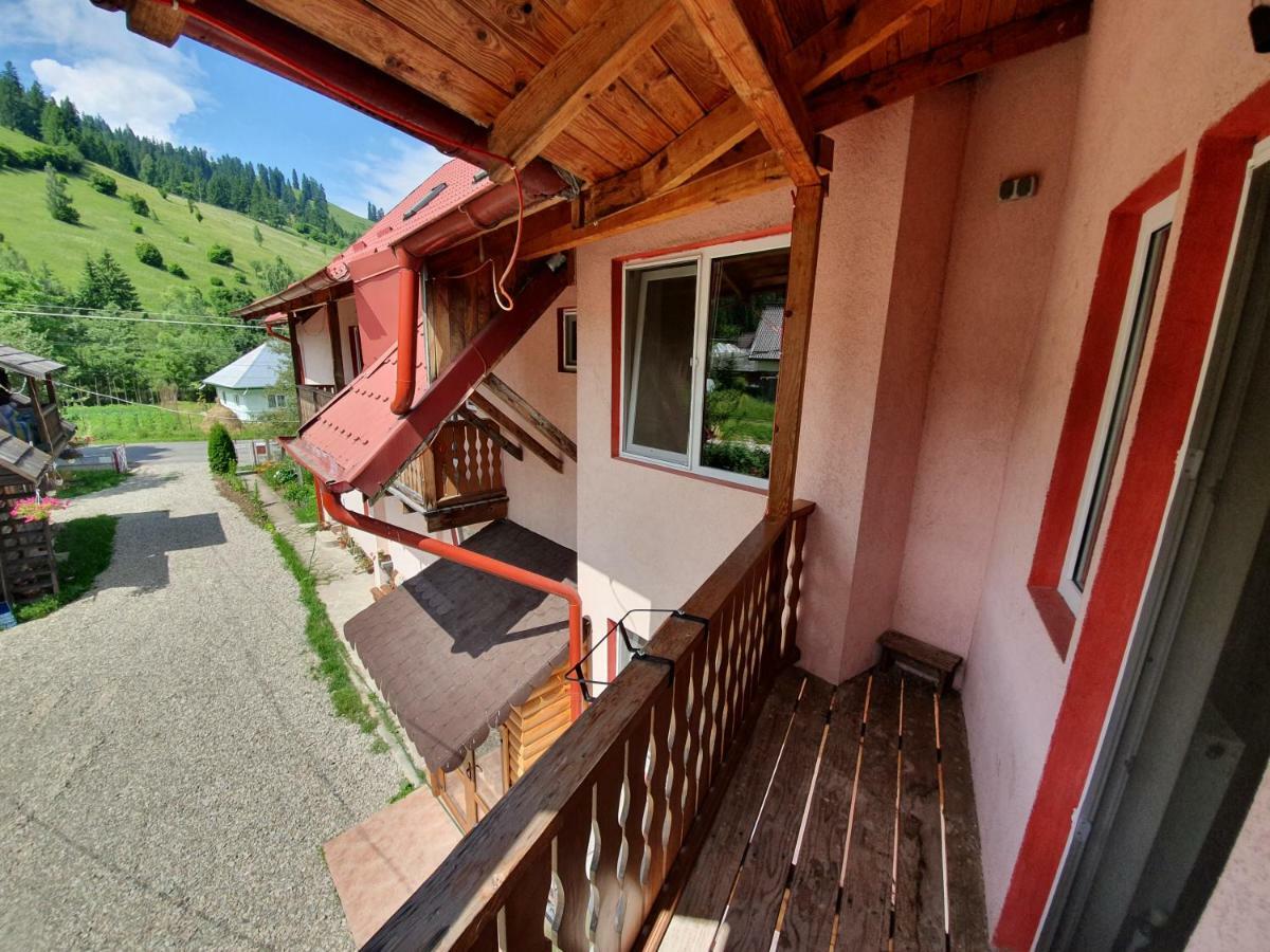 Villa Ileana Чахлеу Екстер'єр фото